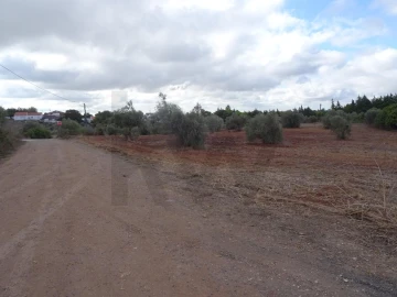 Terreno para Venda em Azambujeira e Malaqueijo