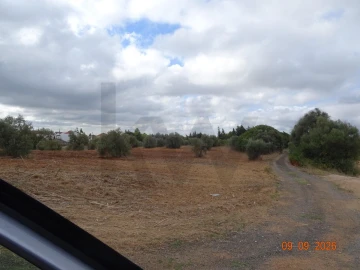 Terreno para Venda em Azambujeira e Malaqueijo