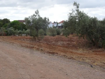 Terreno para Venda em Azambujeira e Malaqueijo