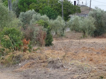 Terreno para Venda em Azambujeira e Malaqueijo