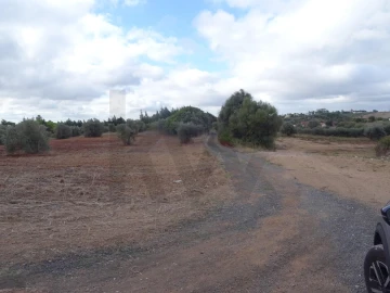 Terreno para Venda em Azambujeira e Malaqueijo