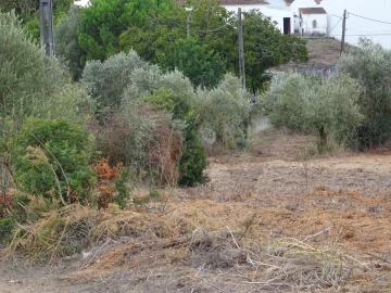 Terreno para Venda em Azambujeira e Malaqueijo