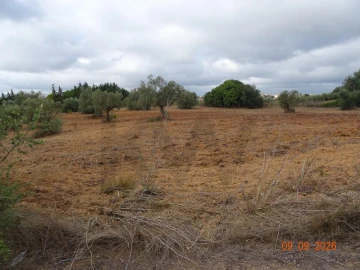 Terreno para Venda em Azambujeira e Malaqueijo