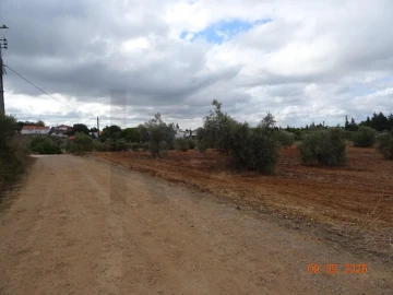 Terreno para Venda em Azambujeira e Malaqueijo