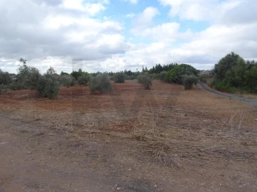 Terreno para Venda em Azambujeira e Malaqueijo