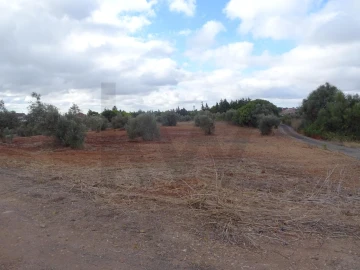 Terreno para Venda em Azambujeira e Malaqueijo
