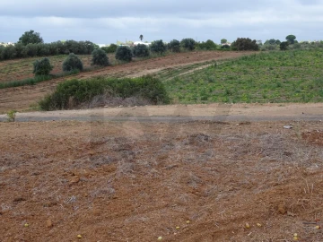 Terreno para Venda em Azambujeira e Malaqueijo