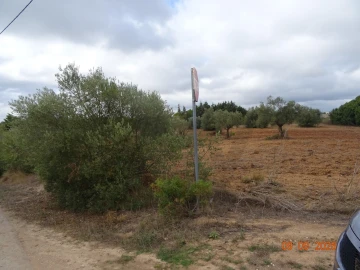 Terreno para Venda em Azambujeira e Malaqueijo