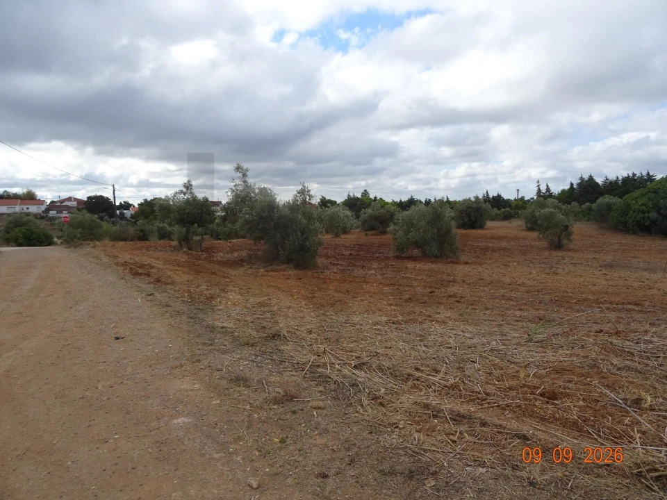 Terreno para Venda em Azambujeira e Malaqueijo Foto 30