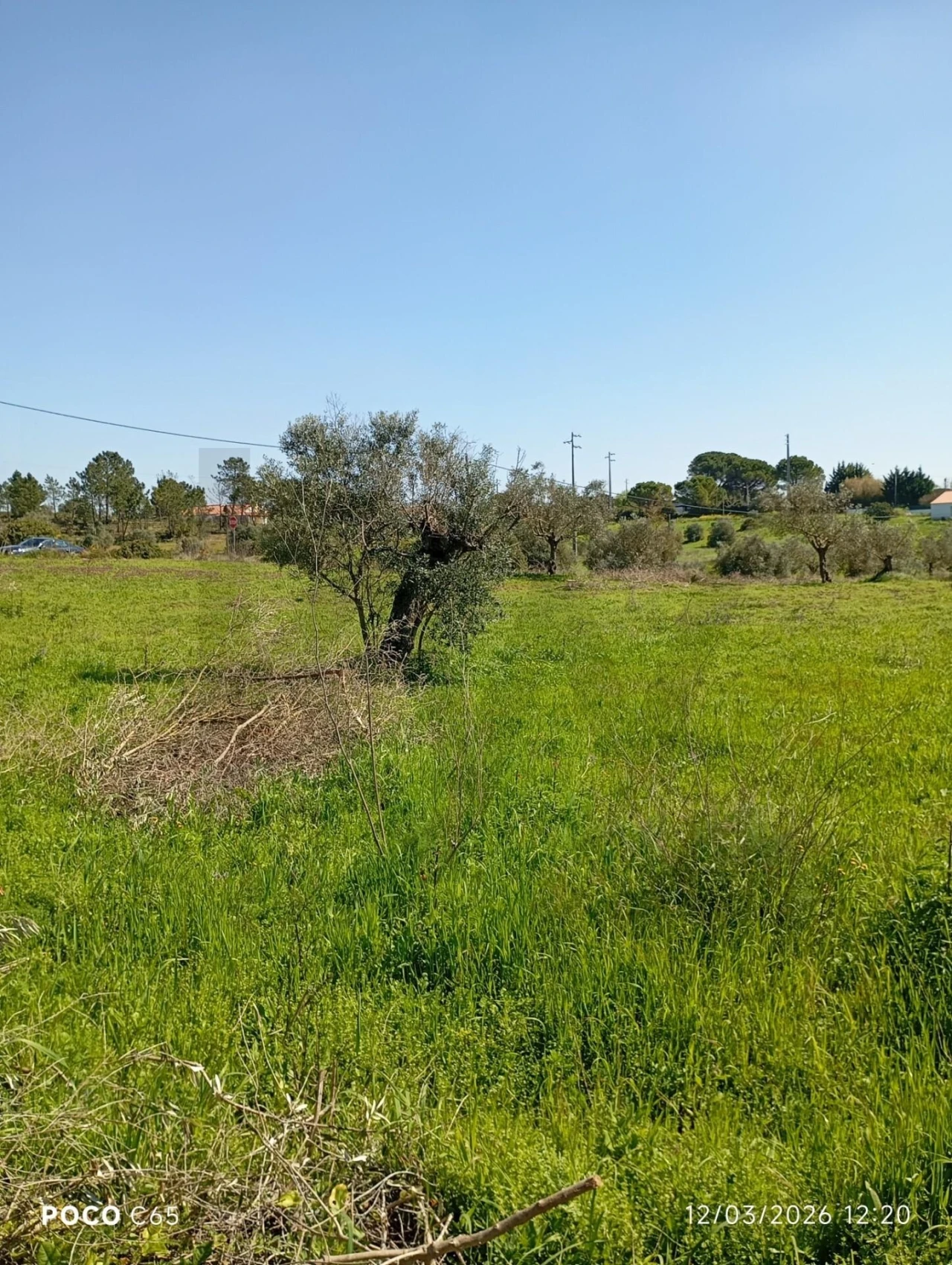 Terreno para Venda em Azambujeira e Malaqueijo Foto 6