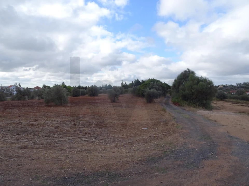 Terreno para Venda em Azambujeira e Malaqueijo Foto 7