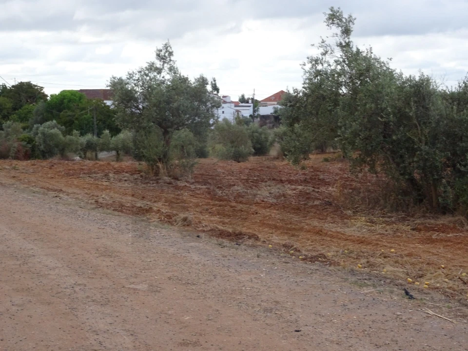 Terreno para Venda em Azambujeira e Malaqueijo Foto 14