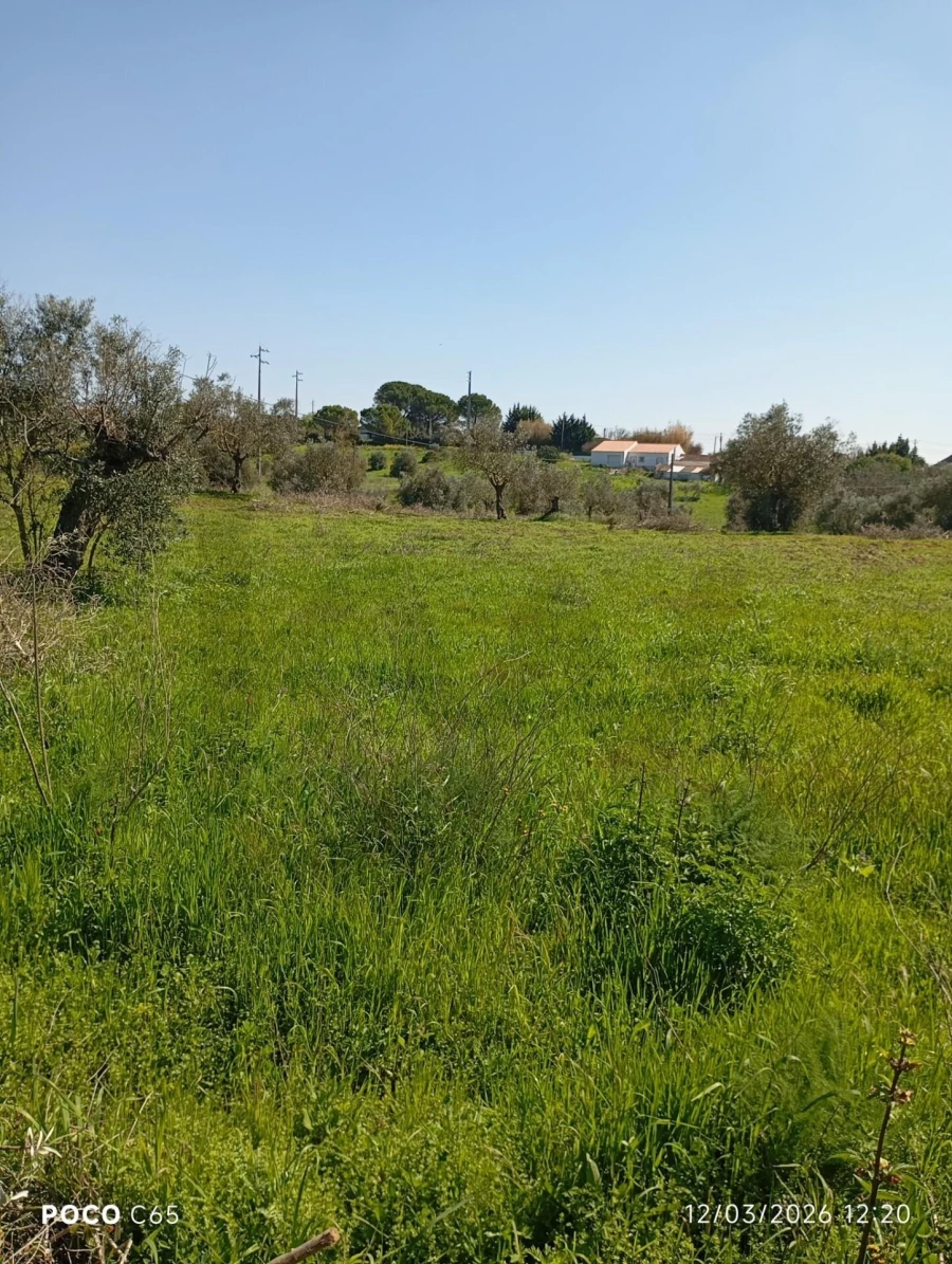 Terreno para Venda em Azambujeira e Malaqueijo Foto 4