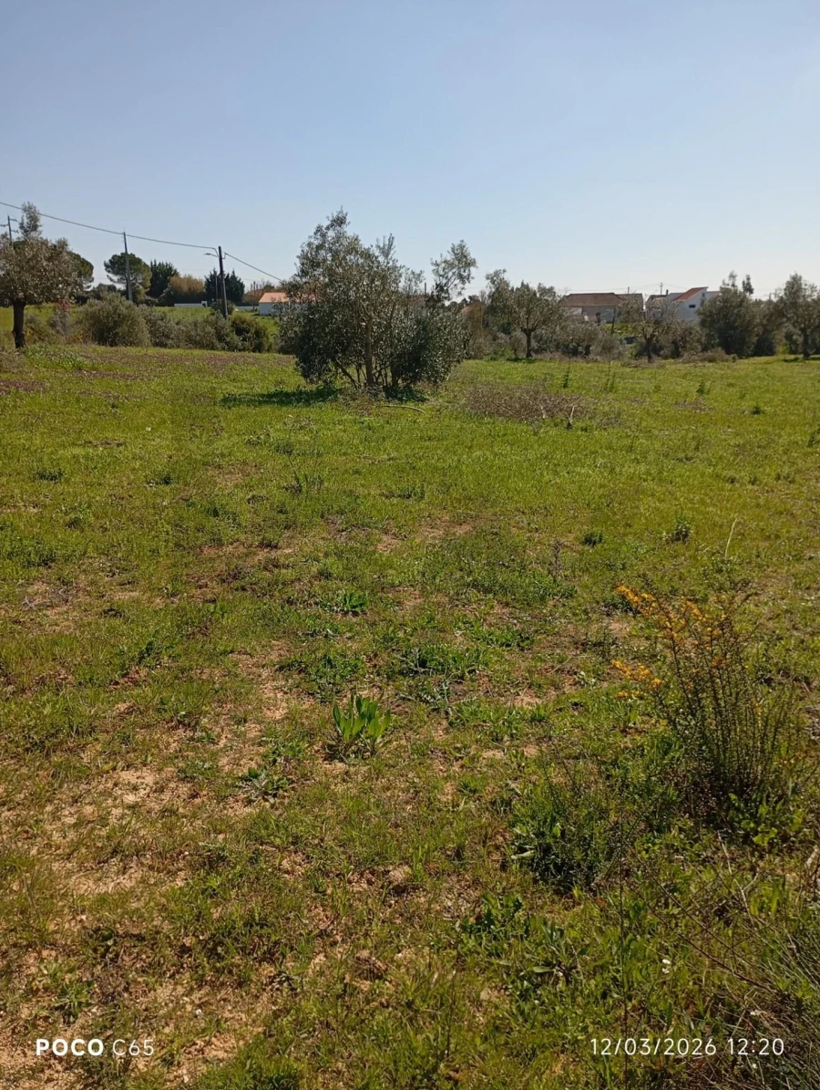 Terreno para Venda em Azambujeira e Malaqueijo Foto 3