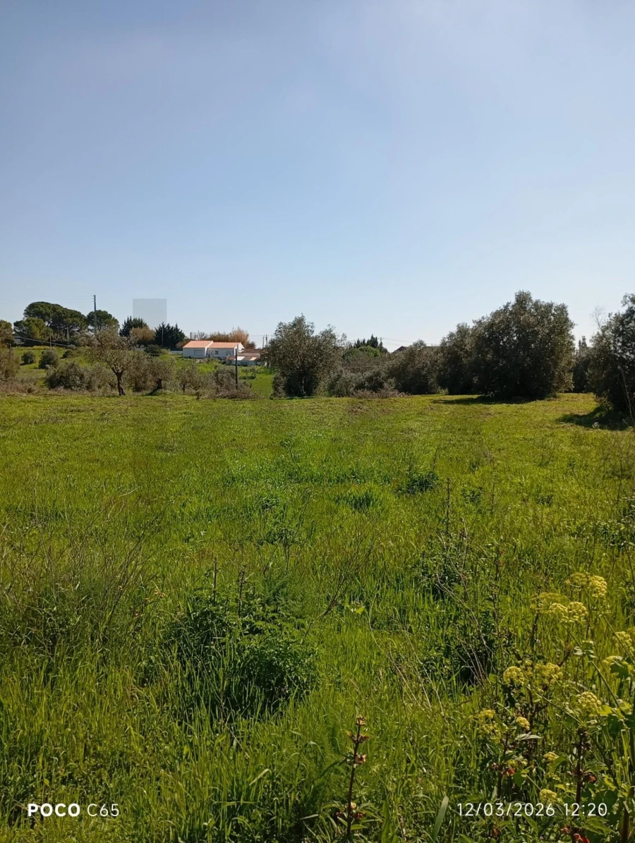 Terreno para Venda em Azambujeira e Malaqueijo Foto 5