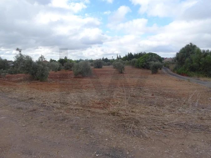 Terreno para Venda em Azambujeira e Malaqueijo Foto 12