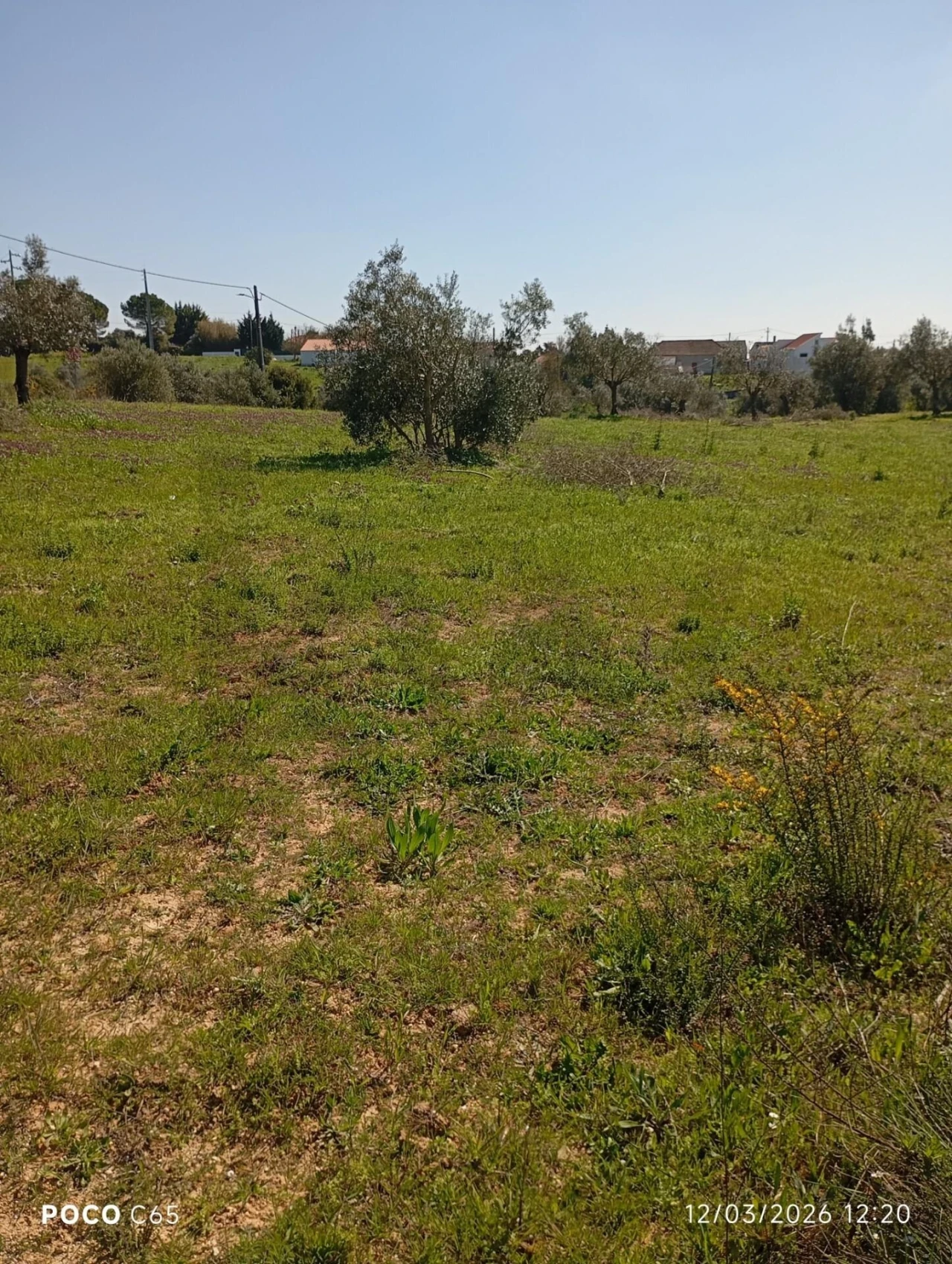 Terreno para Venda em Azambujeira e Malaqueijo Foto 3