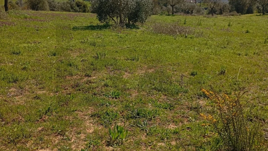 Terreno para Venda em Azambujeira e Malaqueijo