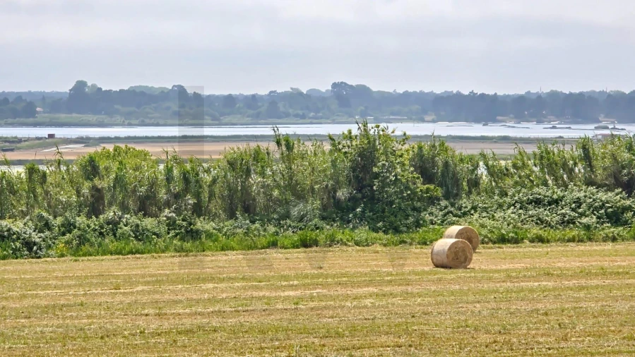 Moradia T4 para Venda em Aradas Foto 19