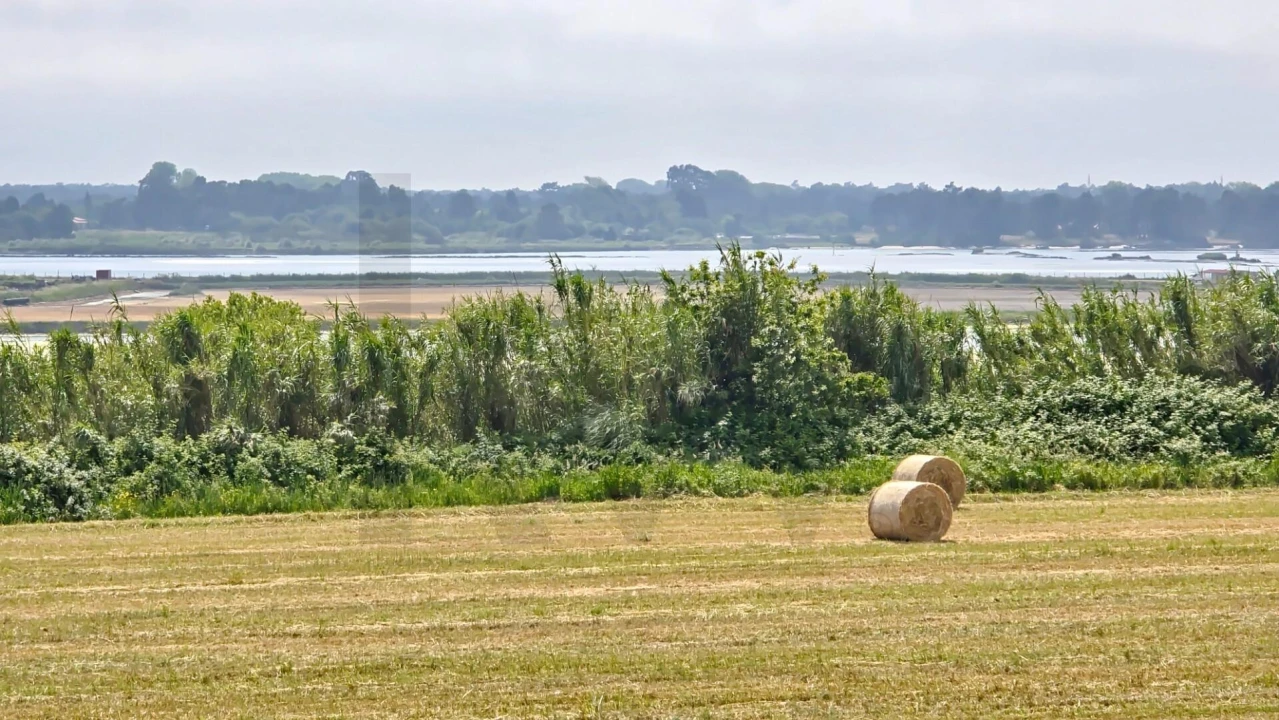 Moradia T4 para Venda em Aradas Foto 19