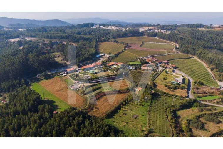 Quinta T3 para Venda em Leitões, Oleiros e Figueiredo Foto 16