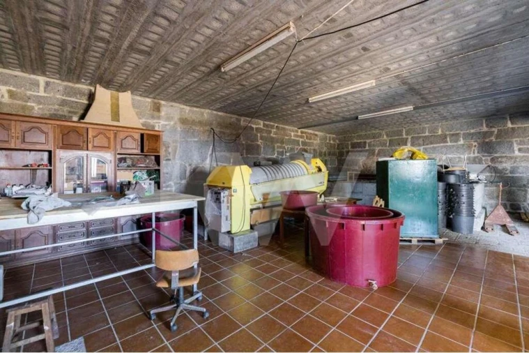 Quinta T3 para Venda em Leitões, Oleiros e Figueiredo Foto 56