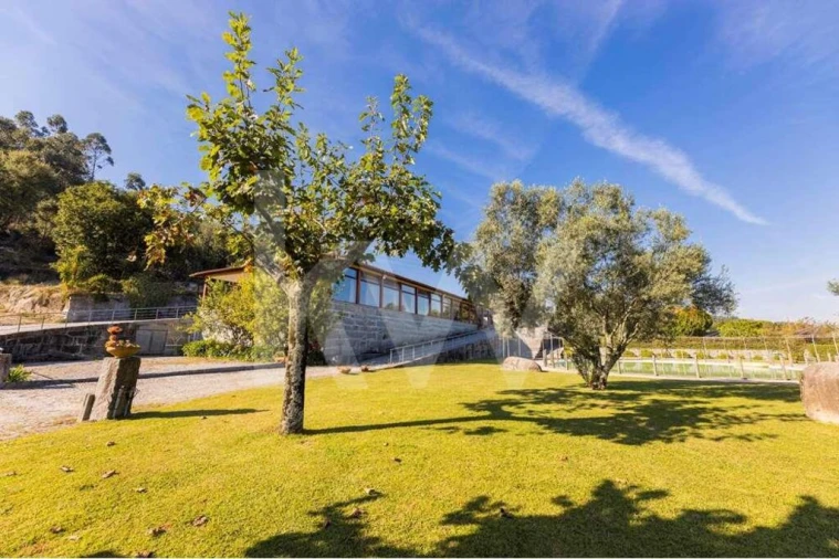 Quinta T3 para Venda em Leitões, Oleiros e Figueiredo Foto 10