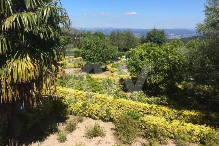 Quinta T3 para Venda em Leitões, Oleiros e Figueiredo Foto 70