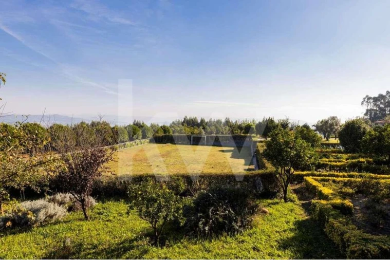 Quinta T3 para Venda em Leitões, Oleiros e Figueiredo Foto 66