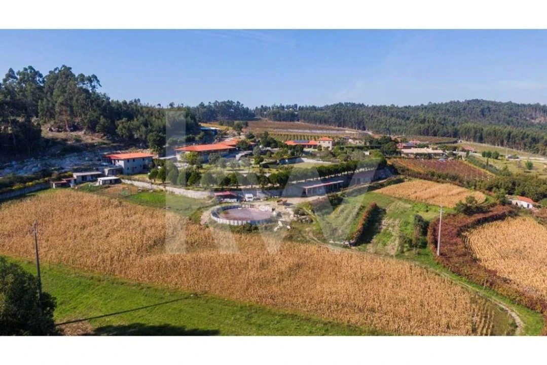 Quinta T3 para Venda em Leitões, Oleiros e Figueiredo Foto 15