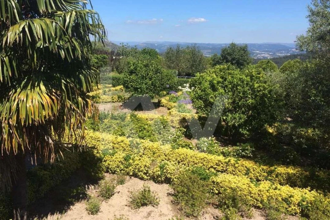 Quinta T3 para Venda em Leitões, Oleiros e Figueiredo Foto 70