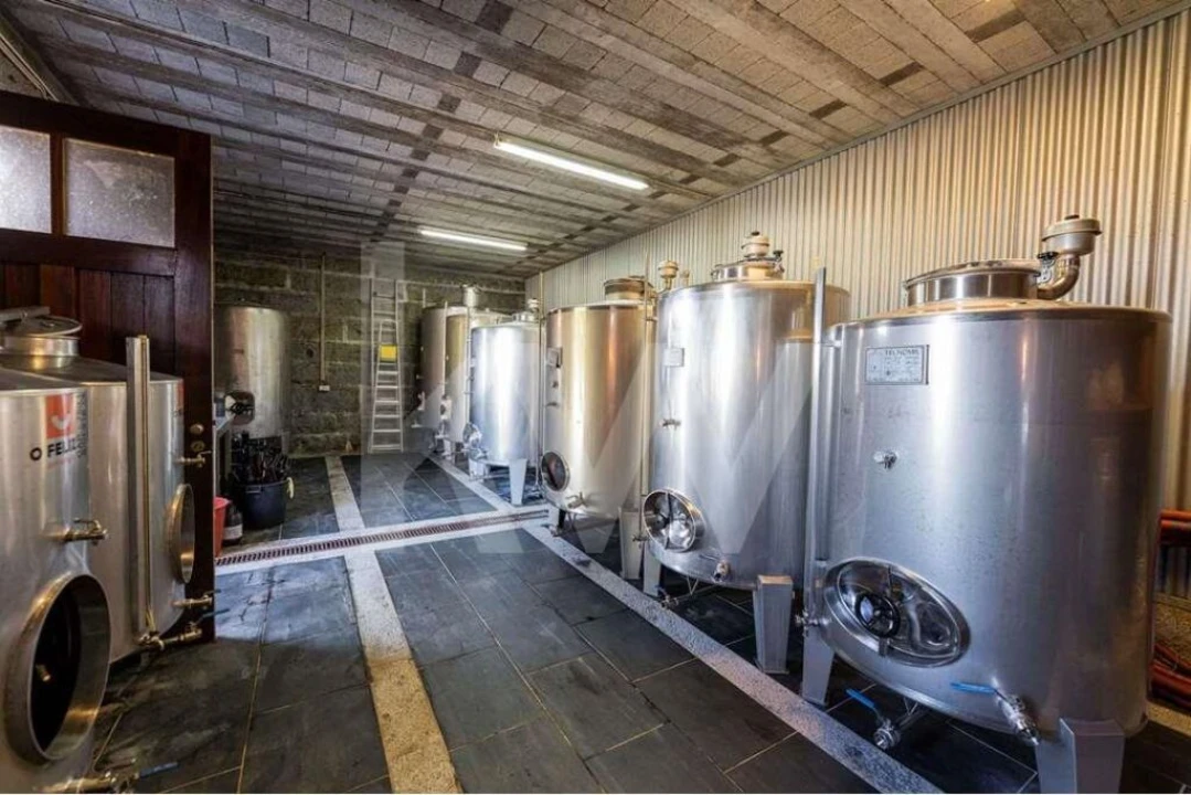 Quinta T3 para Venda em Leitões, Oleiros e Figueiredo Foto 58