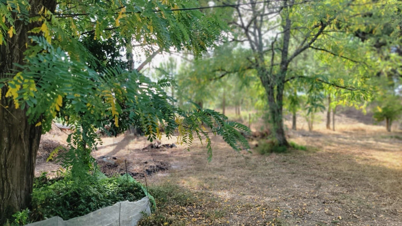 Quinta T5 para Venda em Cortiçadas de Lavre e Lavre Foto 21