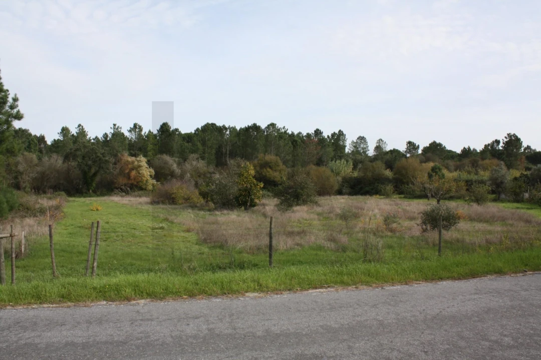 Quinta T5 para Venda em Cortiçadas de Lavre e Lavre Foto 4