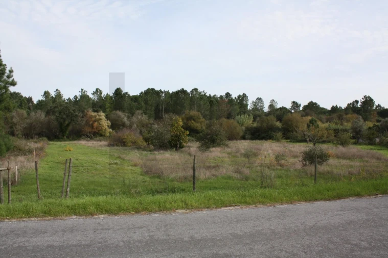 Quinta T5 para Venda em Cortiçadas de Lavre e Lavre Foto 4