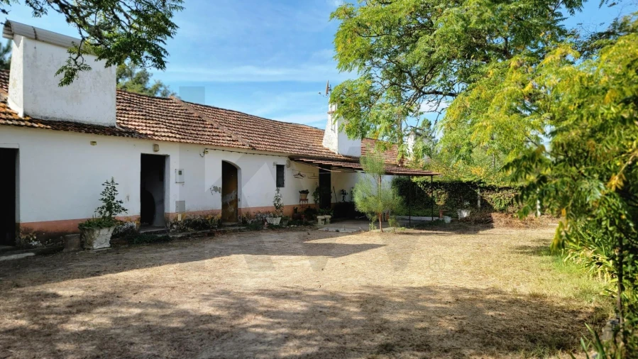 Quinta T5 para Venda em Cortiçadas de Lavre e Lavre Foto 22