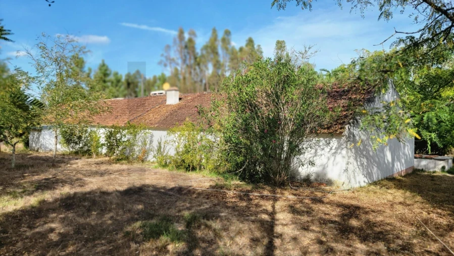 Quinta T5 para Venda em Cortiçadas de Lavre e Lavre Foto 24