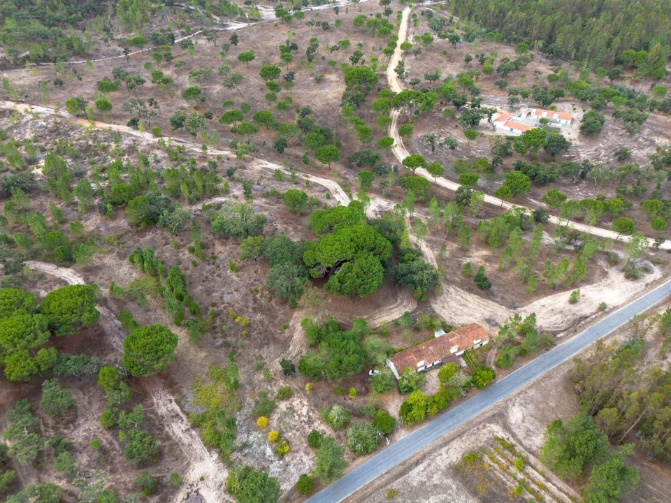 Quinta T5 para Venda em Cortiçadas de Lavre e Lavre Foto 9