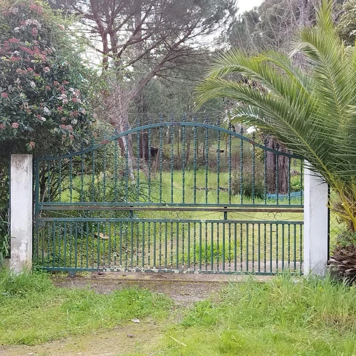 Quinta T5 para Venda em Cortiçadas de Lavre e Lavre Foto 3