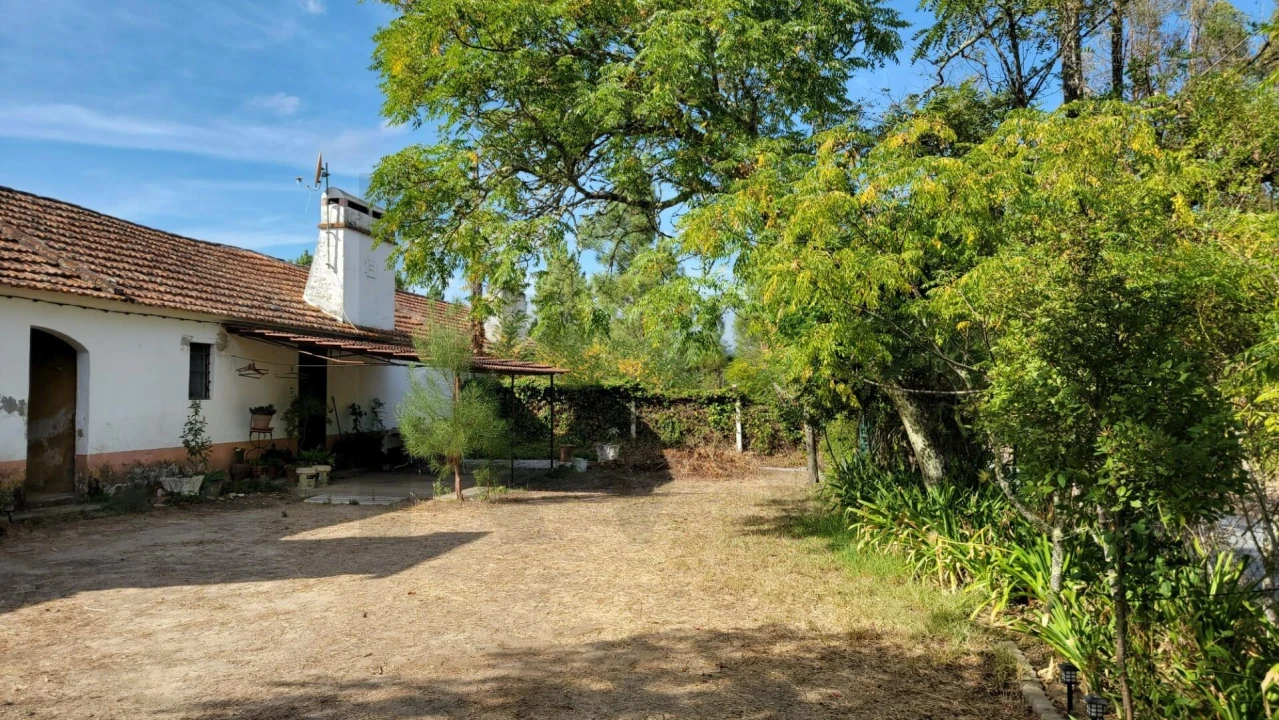 Quinta T5 para Venda em Cortiçadas de Lavre e Lavre Foto 23