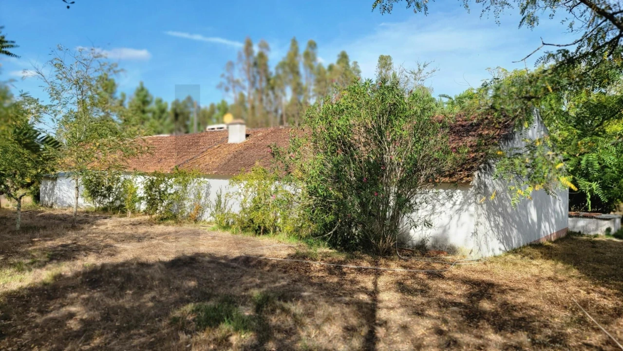 Quinta T5 para Venda em Cortiçadas de Lavre e Lavre Foto 24
