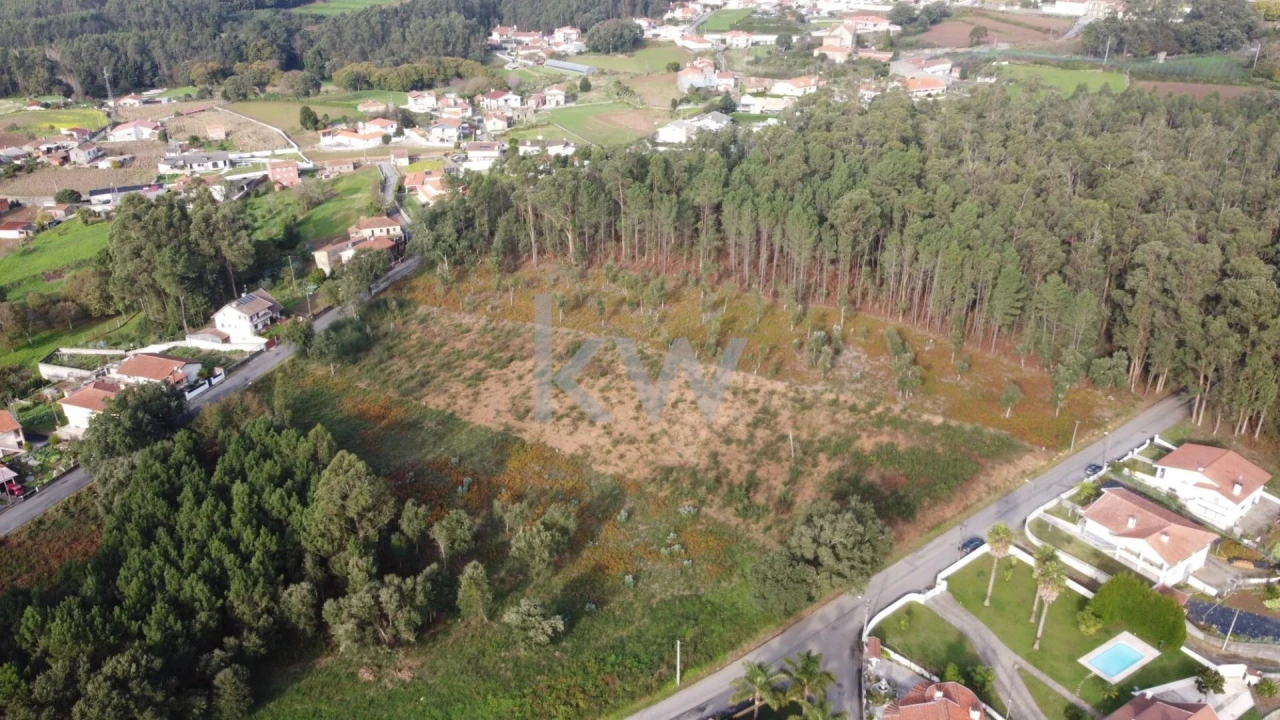 Terreno para Venda em Vila de Cucujães Foto 6