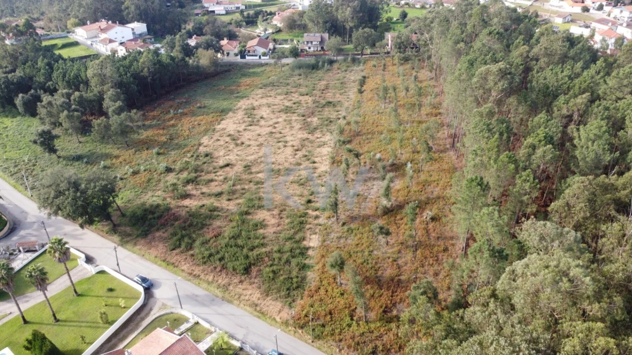 Terreno para Venda em Vila de Cucujães Foto 3