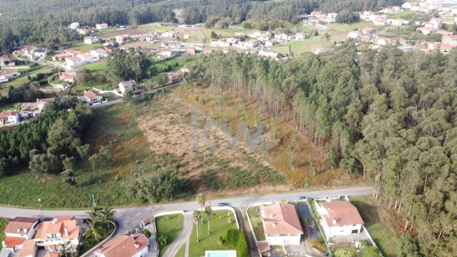 Terreno para Venda em Vila de Cucujães Foto 5