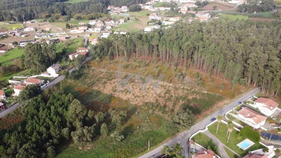 Terreno para Venda em Vila de Cucujães Foto 6