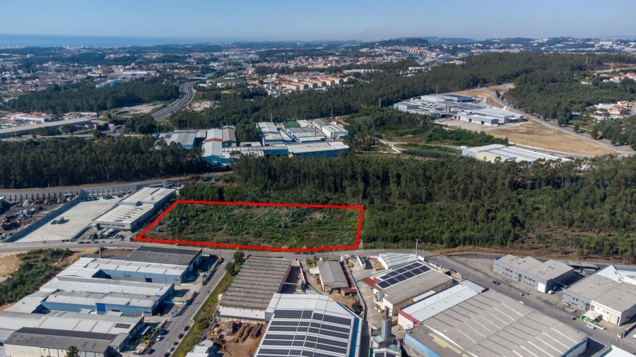 Terreno para Venda em São João de Ver Foto 5