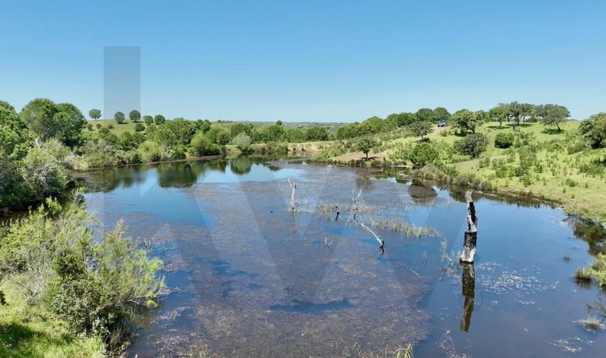 Terreno para Venda em Figueira dos Cavaleiros Foto 3