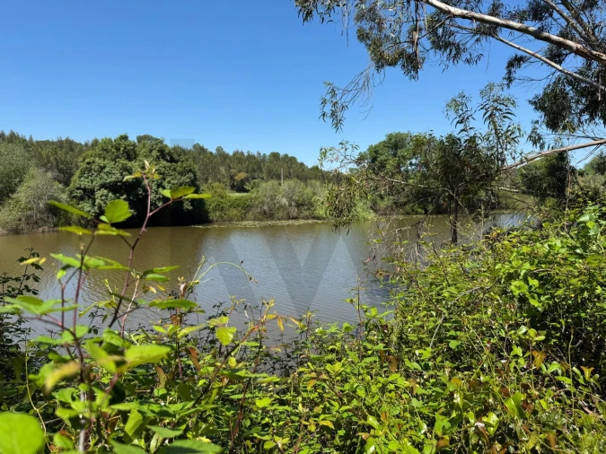 Terreno para Venda em Figueira dos Cavaleiros Foto 2