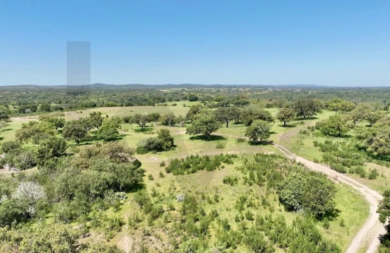Terreno para Venda em Figueira dos Cavaleiros Foto 11
