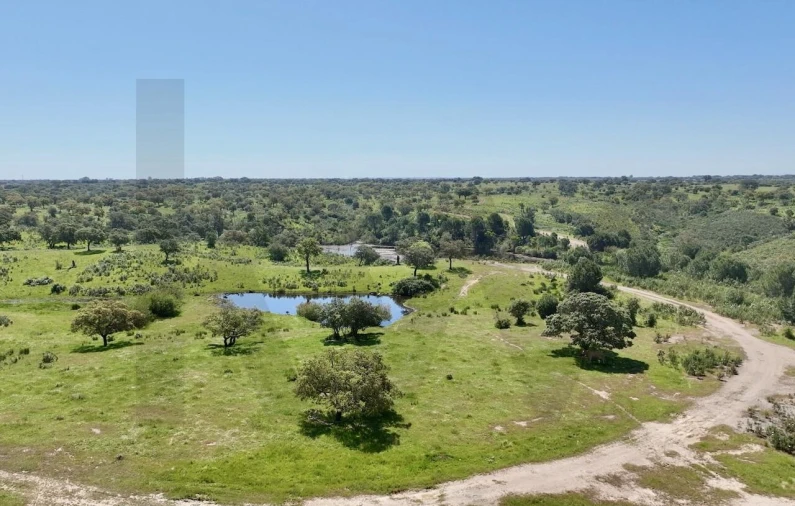 Terreno para Venda em Figueira dos Cavaleiros Foto 8